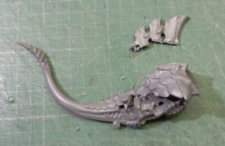 Torso del Élitro cortado