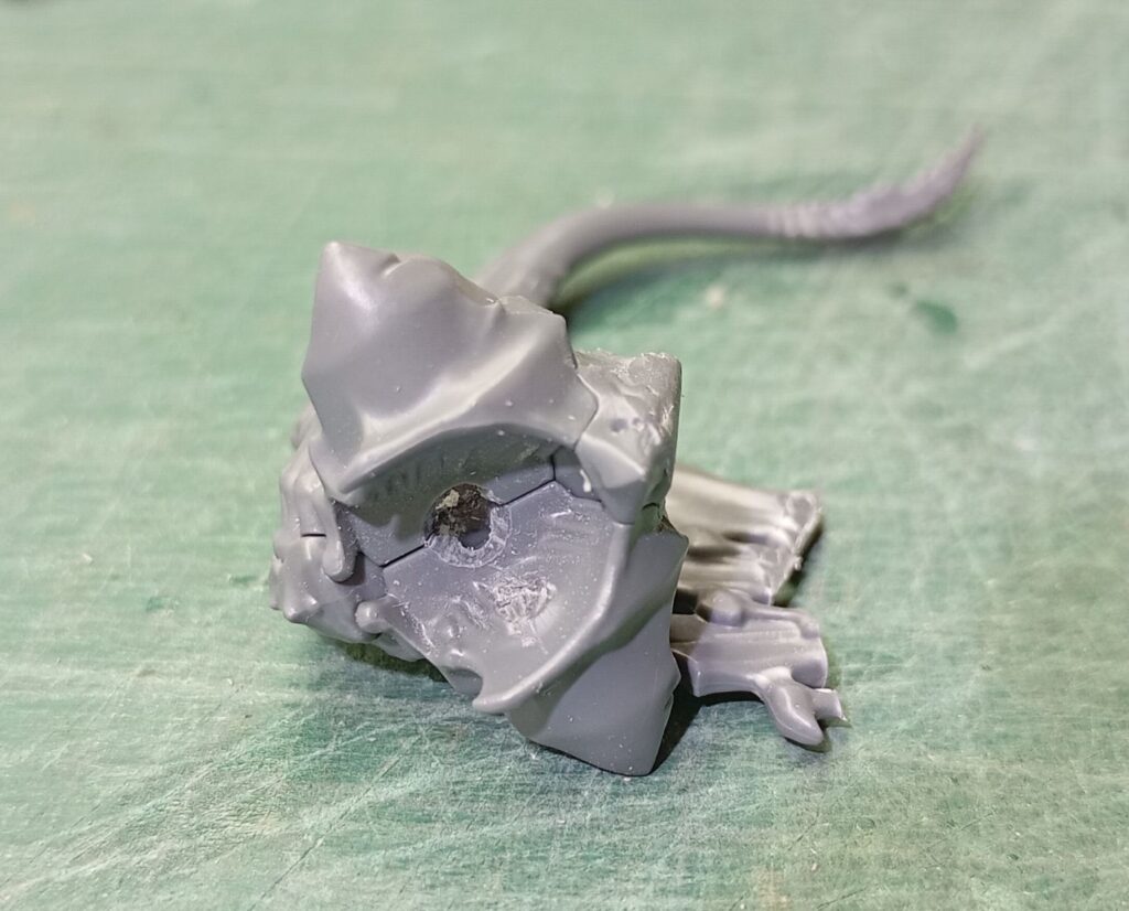 Base del cuello del Élitro Base del cuello del Élitro