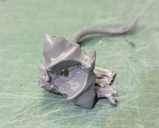 Base del cuello del Élitro