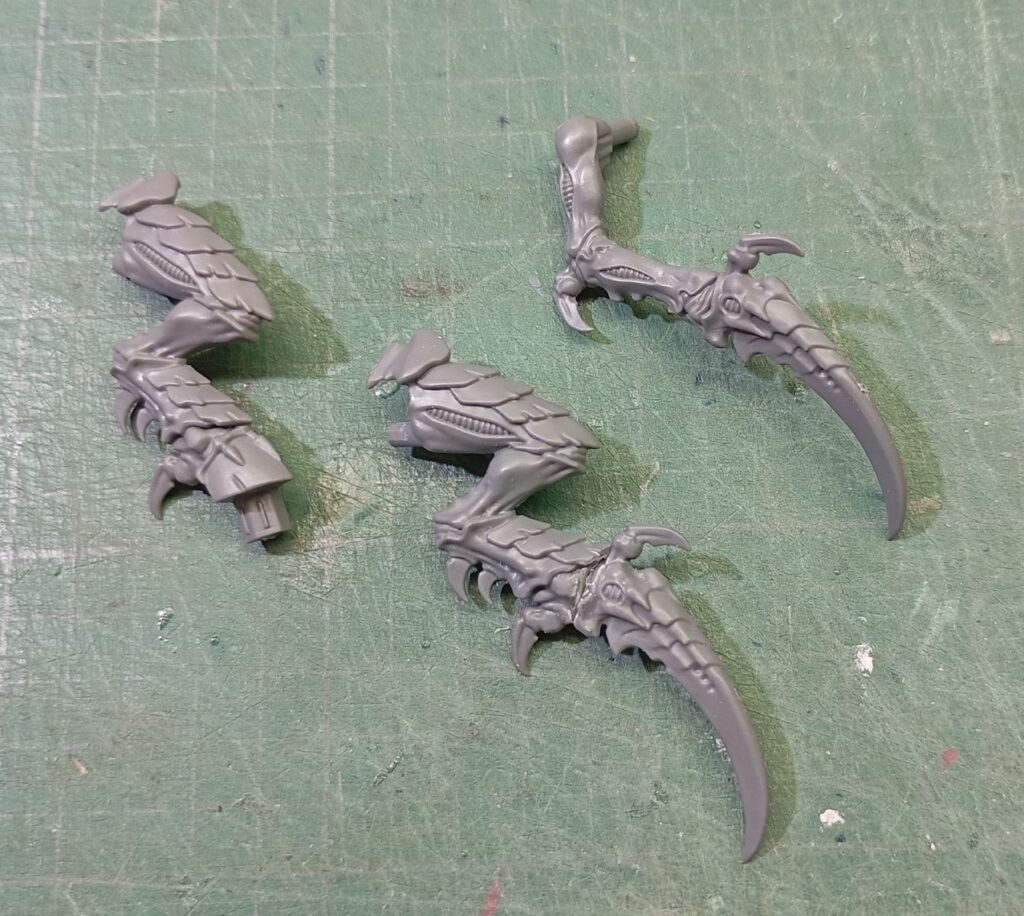 Pierna Derecha Élitro Pierna Derecha Élitro