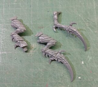 Pierna Derecha Élitro