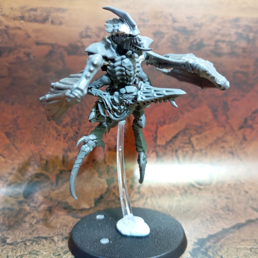 Élitro volando con Lanzadardos Élitro volando con Lanzadardos