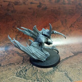 Élitro Primus con garras afiladas