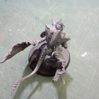 Espalda del Élitro cortado y limado para quitar las crestas dorsales